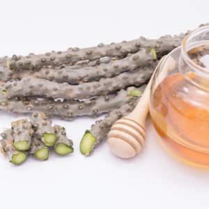 ayush guduchi powder