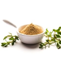 Ayush saraswatharishtam