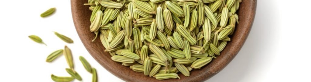 Ayush ayurvedic fennel seeds