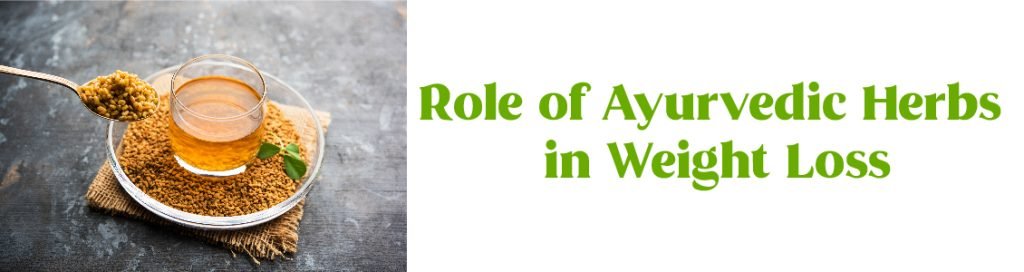 Ayush Ayurveda